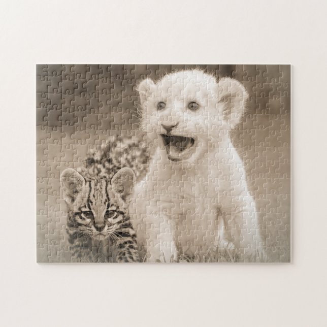 Freunde (Horizontal)