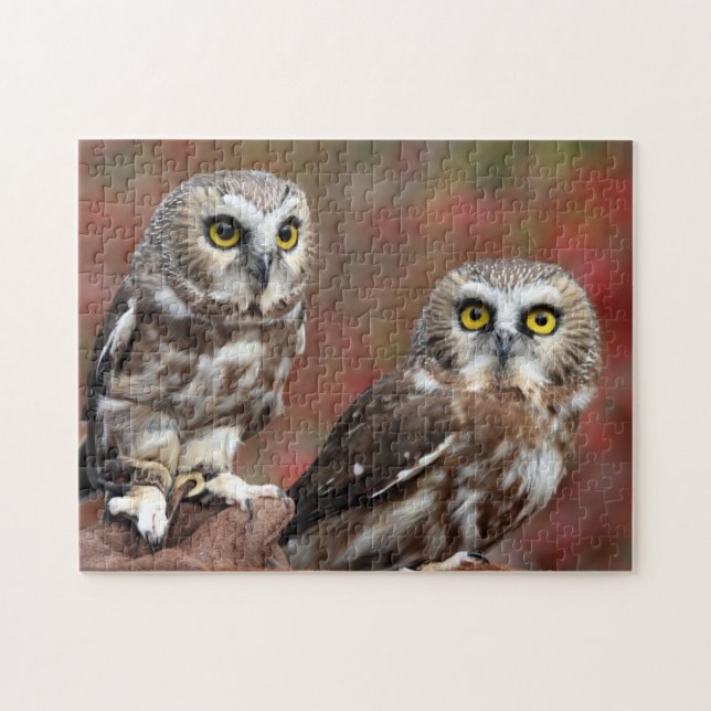 Freunde (Horizontal)