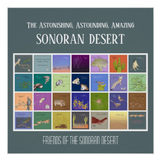 Freunde der Sonoran-Wüste Poster