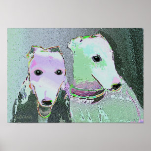 "Freunde einer anderen Farbe"   Plakat