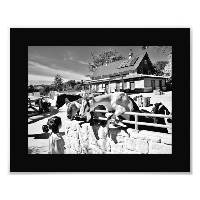 Freunde Fotodruck (Vorne)