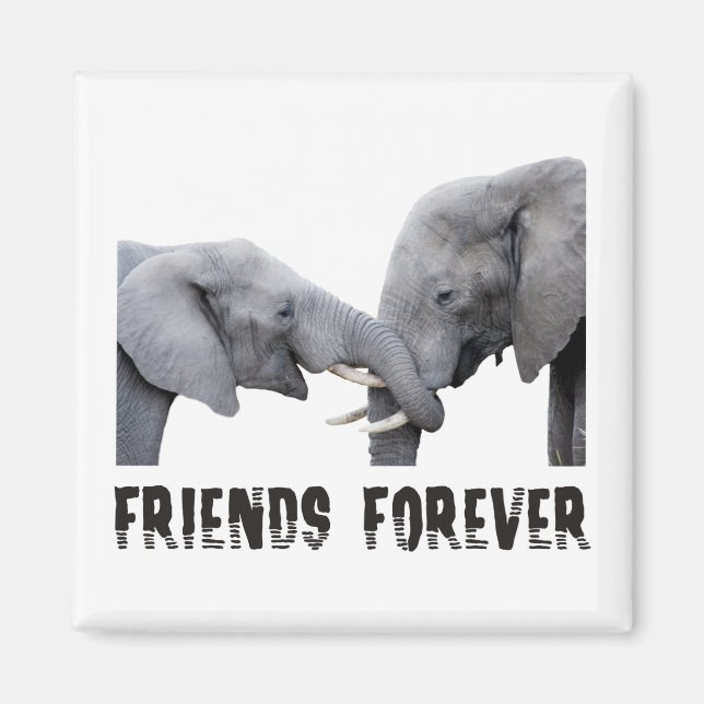 Freunde für immer Elefanten umarmen / küssen Magnet (Vorne)