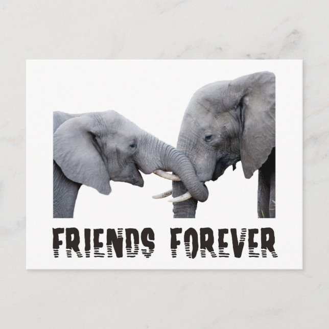 Freunde für immer Elefanten umarmen / küssen Postkarte (Vorderseite)