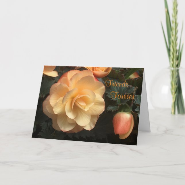 Freunde für immer feiertagskarte (Vorderseite)