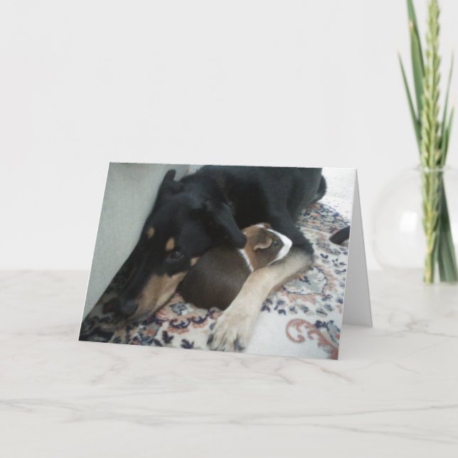 Freunde für immer karte (Vorderseite)