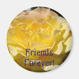 Freunde für immer! Magnet Geschenk Gelbe Rose Blum