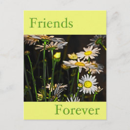 Freunde für immer postkarte