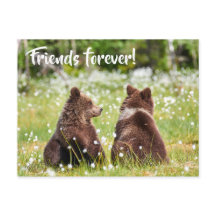 Freunde für immer Postkarte