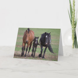 Freunde - Galloping to Freedom Greeting Card Karte