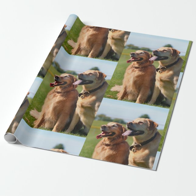 Freunde Geschenkpapier (Ungerollt)