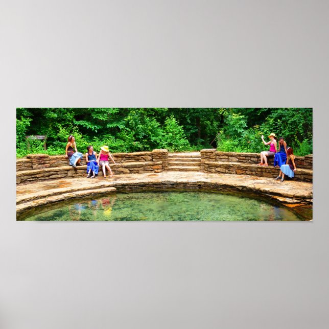 Freunde im Buffalo Spring III - Color Saturated Poster (Vorne)