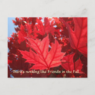 Freunde im Herbst! Postkarten Rote Herbstblätter
