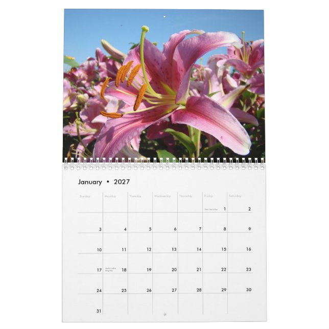 FREUNDE! KALENDER (Jan 2027)