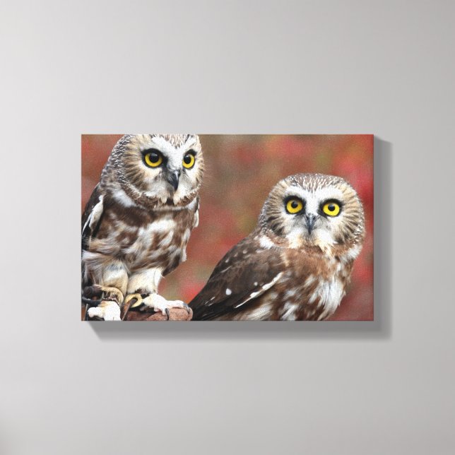 Freunde Leinwanddruck (Vorderseite)