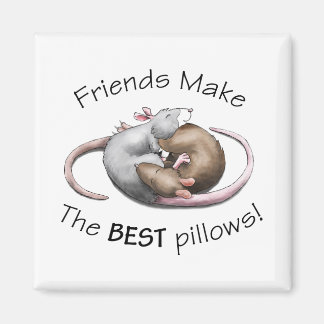 Freunde machen die BESTEN Kissen! Magnet