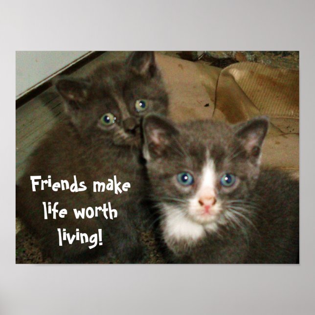 FREUNDE MACHEN LEBEN LEBENSWERT POSTER (Vorne)