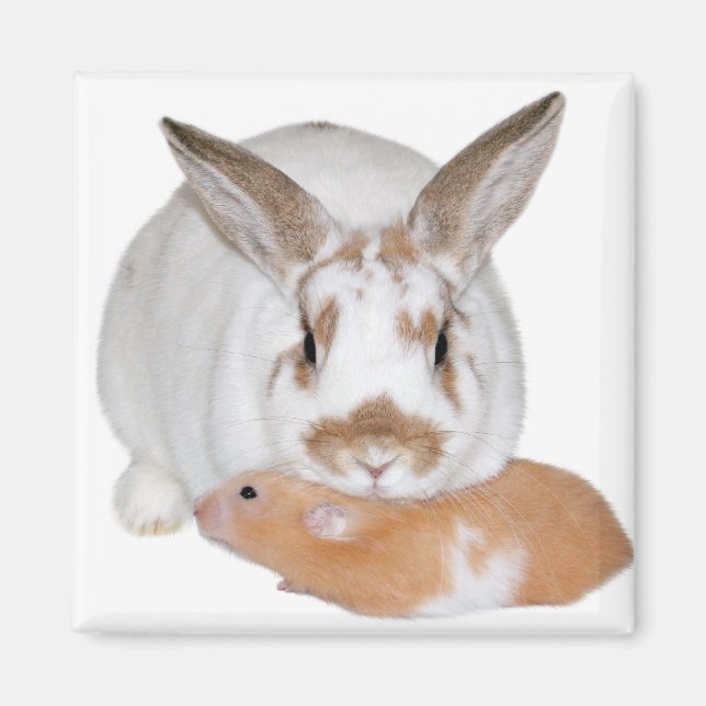 Freunde Magnet (Vorne)