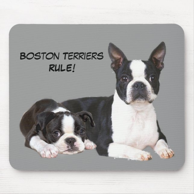 Freunde Mousepad Bostons Terrier (Vorne)