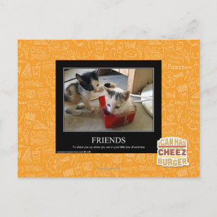 Freunde Postkarte
