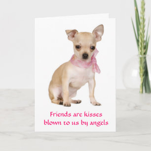 Freunde sind Engel Chihuahua Welpe Grußkarte Karte