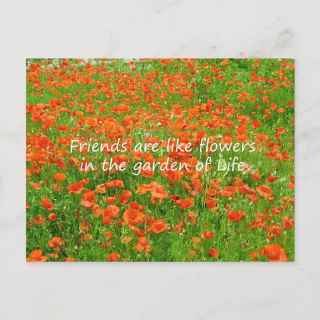 Freunde sind wie Blume Postkarte (Vorderseite)