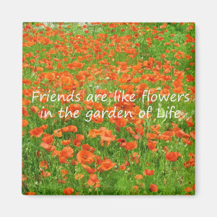 Freunde sind wie Blumen Magnet