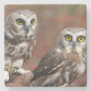 Freunde Steinuntersetzer