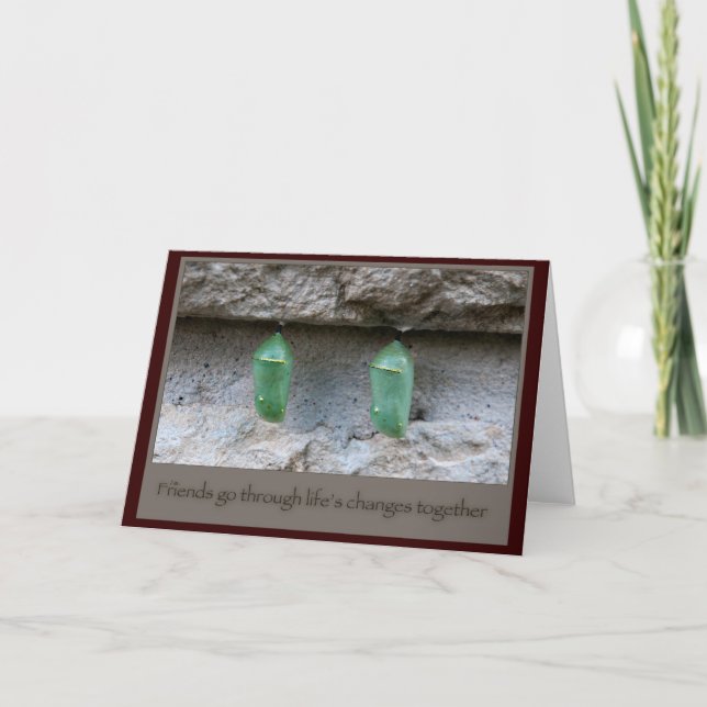 Freunde von Butterfly Cocoons Karte (Vorderseite)