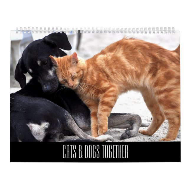 Freunde von Katzen und Hunden Kalender (Titelbild)