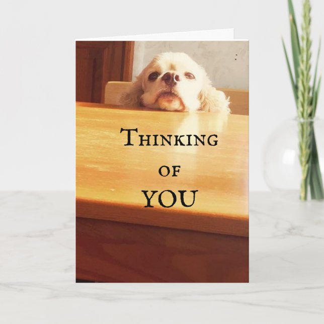 FREUNDLICH ***AUGUST BIRTHDAY*** FÜR SIE! KARTE (Vorderseite)