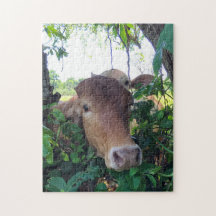 Freundliche Kühe 11x14" Jigsaw Puzzle