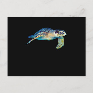 Freundliche Meeresschildkröte Baden im Foto Kunst, Einladungspostkarte