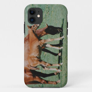 FREUNDLICHE PFERDE Case-Mate iPhone HÜLLE