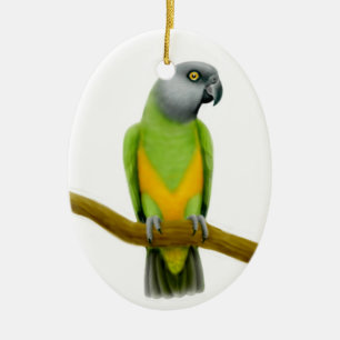 Freundliche Senegal-Papageien-Verzierung Keramikornament