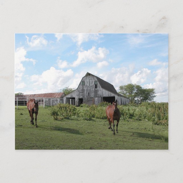 Freundlicher Empfang Postkarte (Vorderseite)