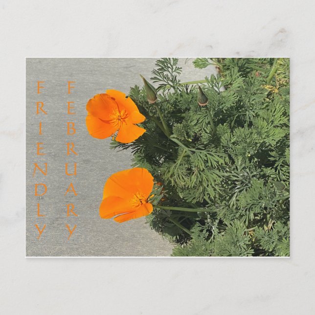 Freundlicher Februar! Postkarte (Vorderseite)