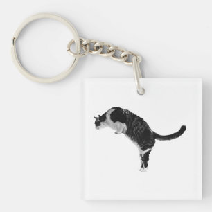 Freundlicher Katzenanhänger Schlüsselanhänger