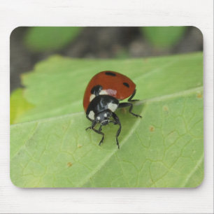 Freundlicher Marienkäfer Mousepad