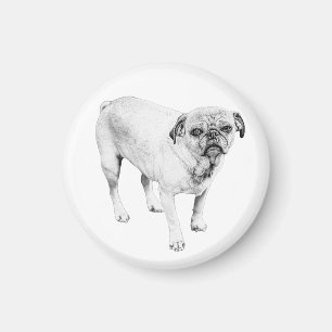 Freundlicher schattierter Hundemagnet für tröstend Magnet