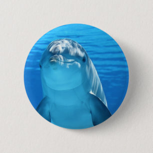 Freundliches Delphin-Foto Button