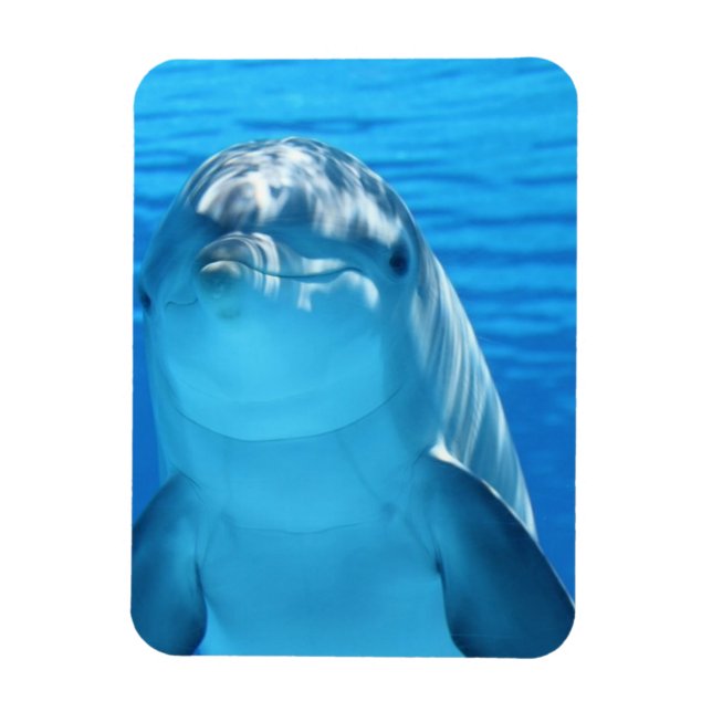 Freundliches Dolphin Foto Magnet (Vertikal)