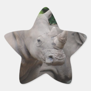 Freundliches Nashorn Stern-Aufkleber