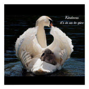 Freundlichkeit Poster