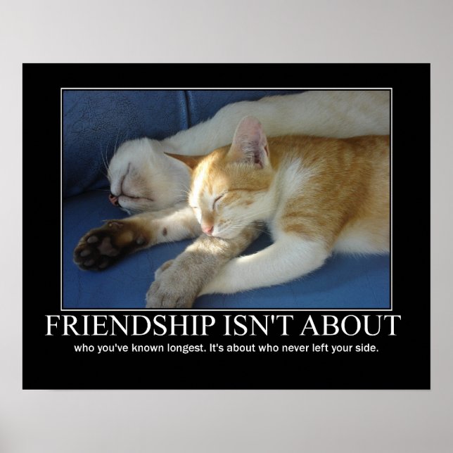 Freundschaft Cats Liebe Artwork Inspiration Poster (Vorne)