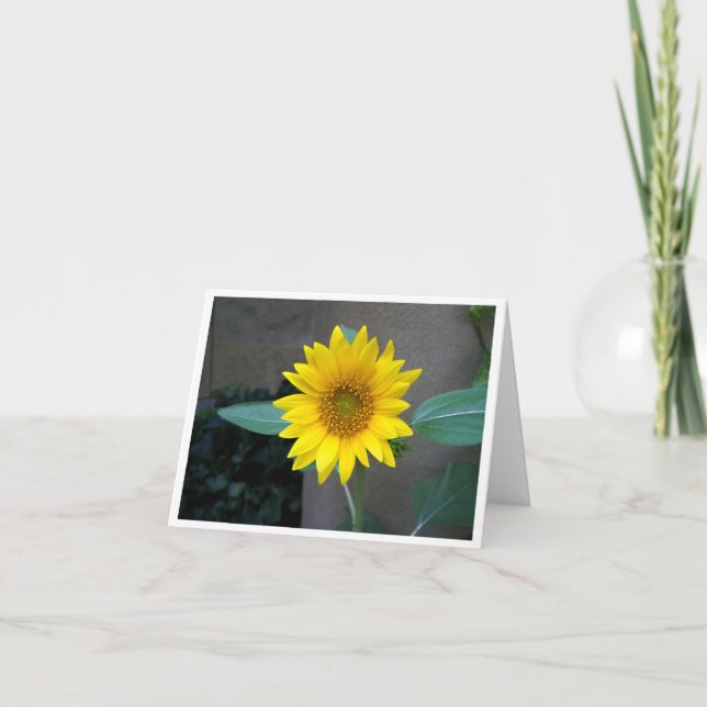 Freundschaft, danke, Geburtstag, Sonnenblumenkarte Dankeskarte (Vorderseite)