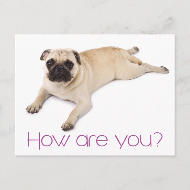 Freundschaft Hallo Mops Welpe Hund Gruß Postkarte (Vorderseite)