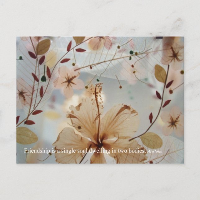 Freundschaft Petal Postcard Postkarte (Vorderseite)