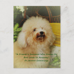 Freundschaft Postkarte