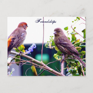 Freundschaft_Postkarte Postkarte