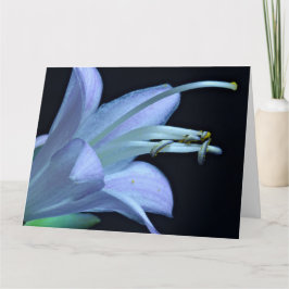 Freundschaft - Schönes Macro Hosta Blume Foto Karte
